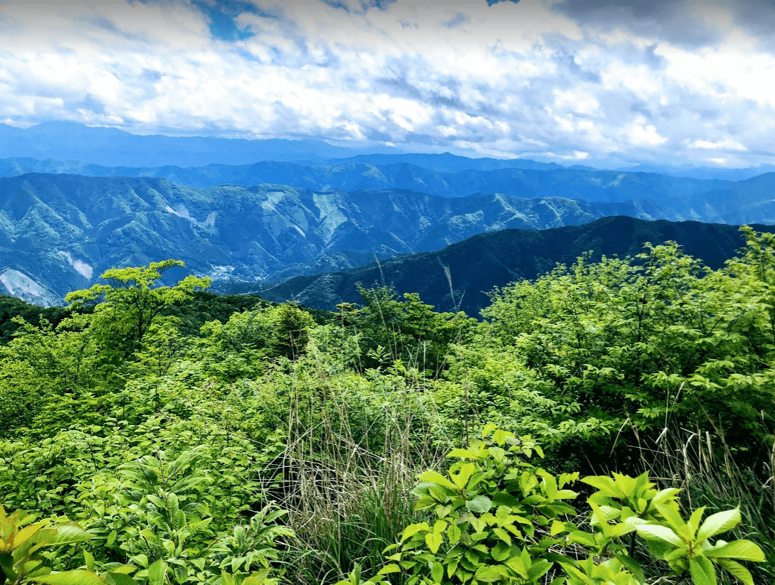 山頂からの景色